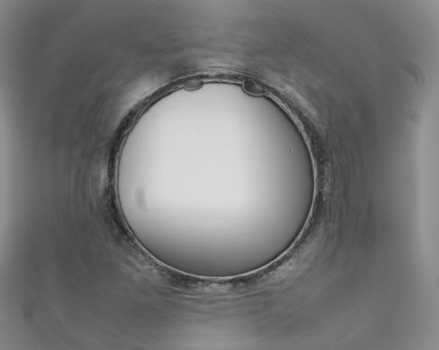 X0000111371261200907101010