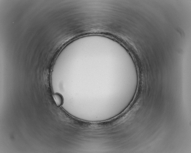 X0000111371265200907101010