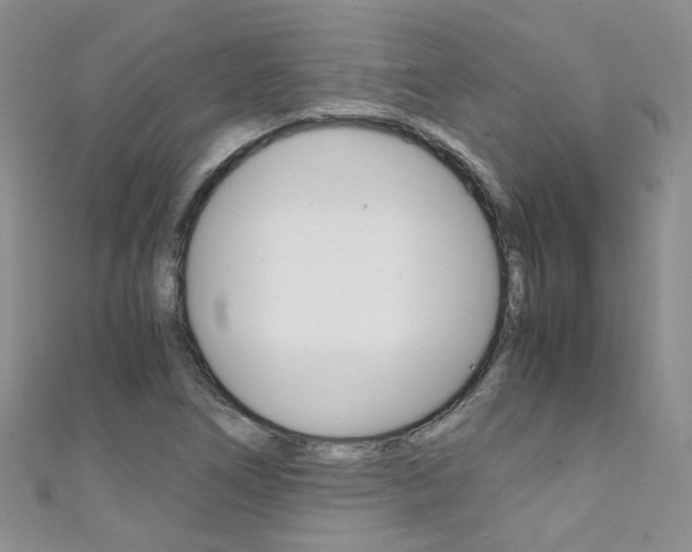 X0000111371266200907101010