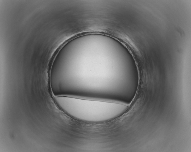 X0000111371268200907101010