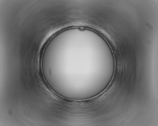 X0000111371270200907101010