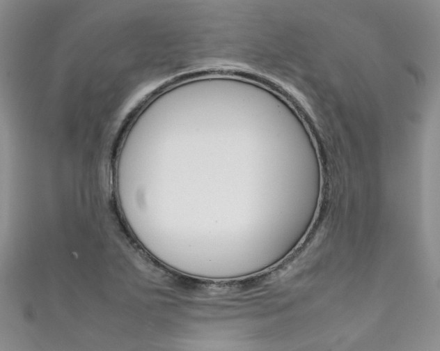 X0000111371271200907101010