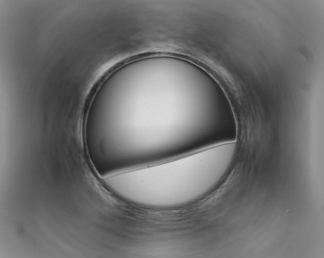 X0000111371272200907101010