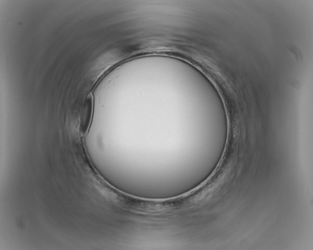 X0000111371273200907101010