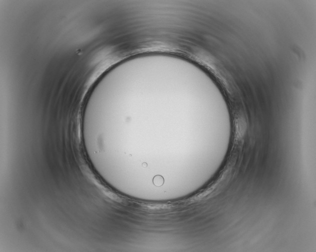 X0000111371274200907101010