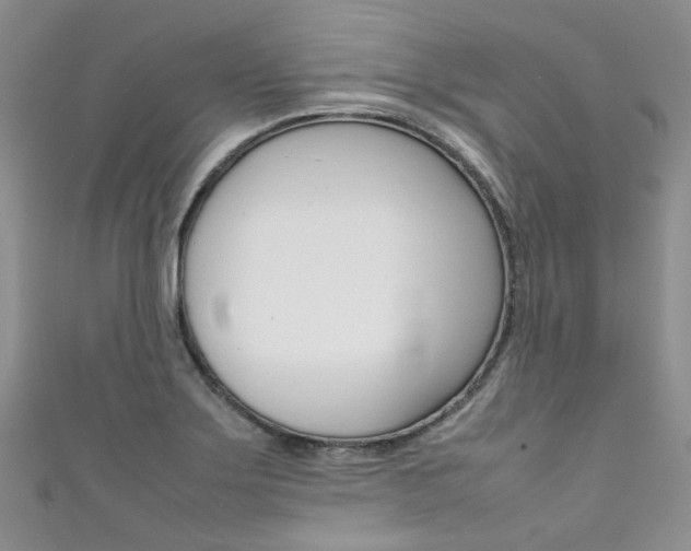 X0000111371275200907101010