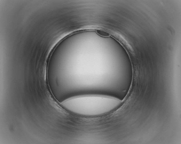 X0000111371276200907101010