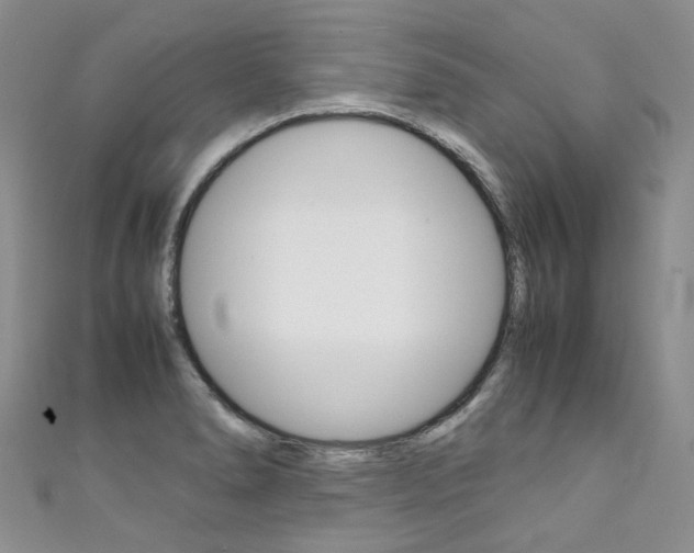 X0000111371278200907101010