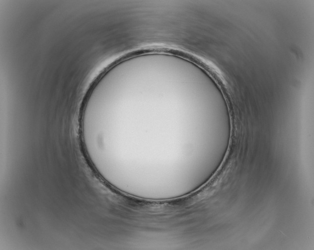 X0000111371279200907101009