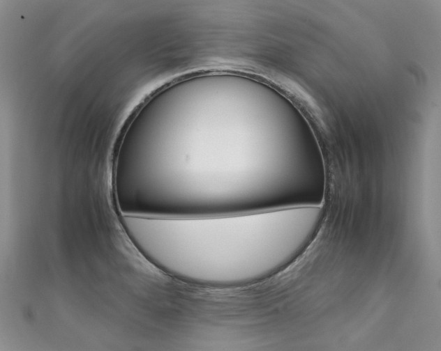 X0000111371280200907101009