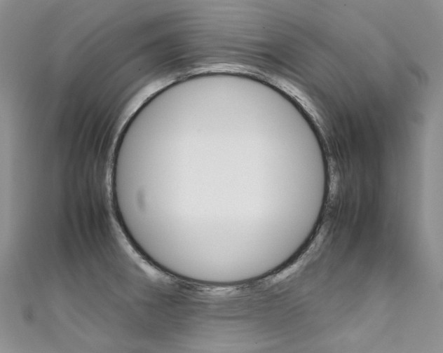 X0000111371282200907101009