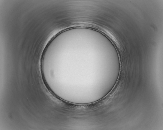 X0000111371283200907101009