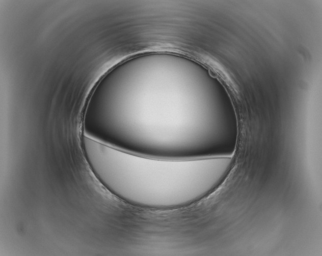 X0000111371284200907101009