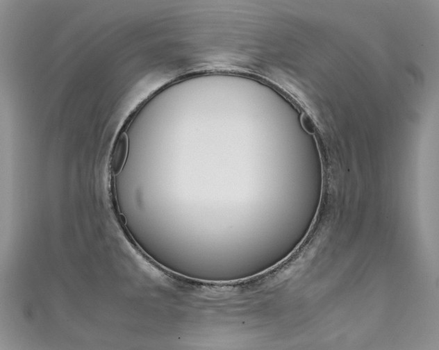 X0000111371285200907101009
