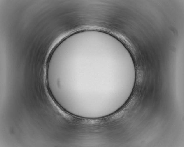 X0000111371286200907101009