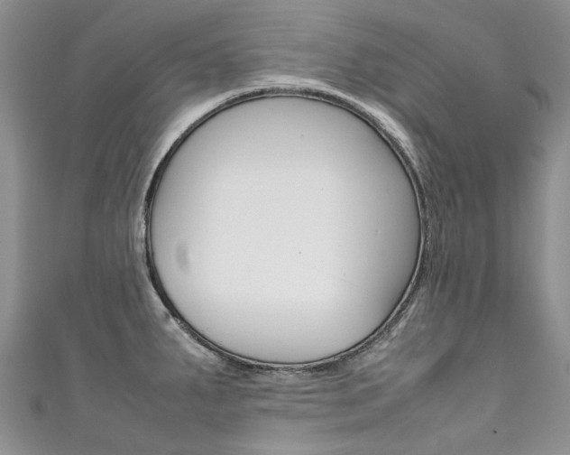 X0000111371287200907101009