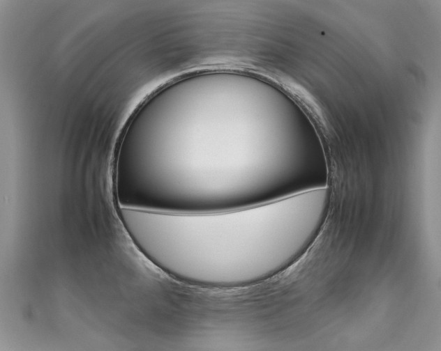 X0000111371288200907101009