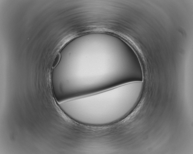 X0000111371289200907101009