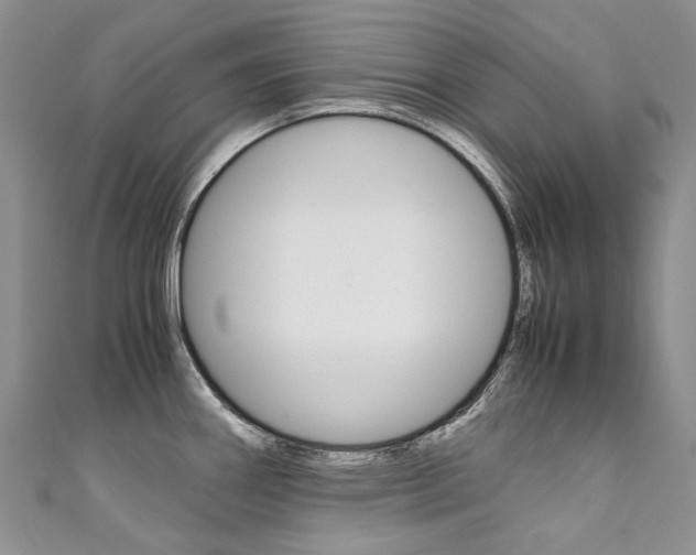 X0000111371290200907101009