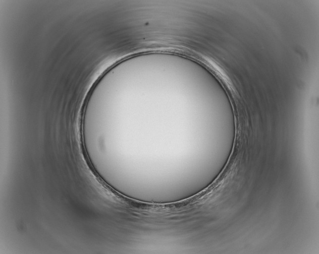 X0000111371291200907101009