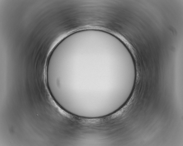 X0000111371294200907101009