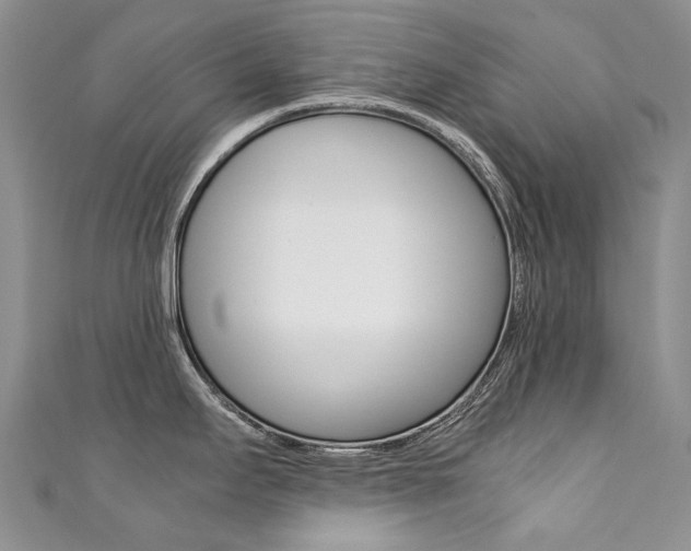 X0000111371295200907101009