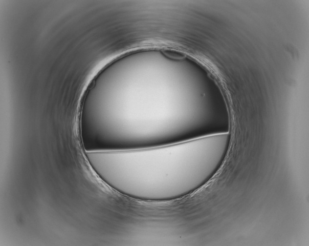 X0000111371296200907101009