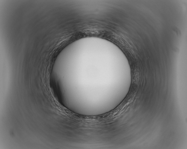 X0000111371297200907101009