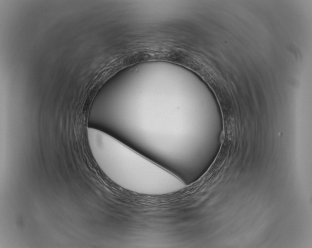 X0000111371298200907101009