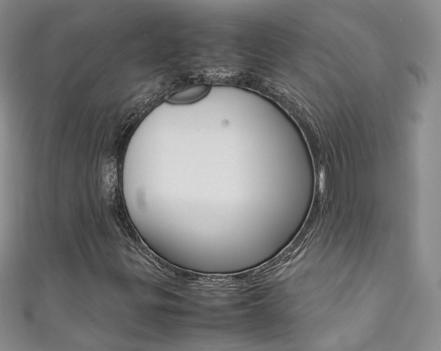 X0000111371299200907101009