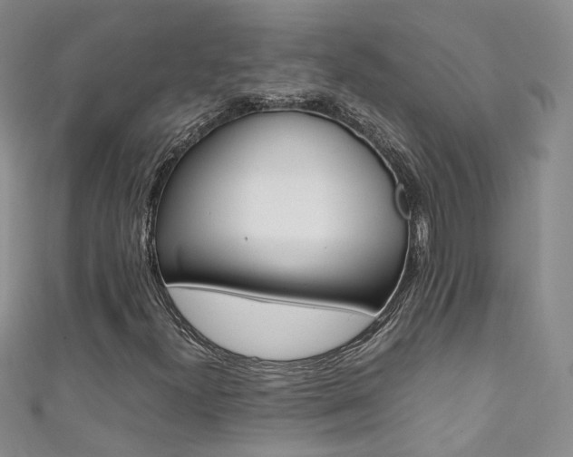 X0000111371300200907101009