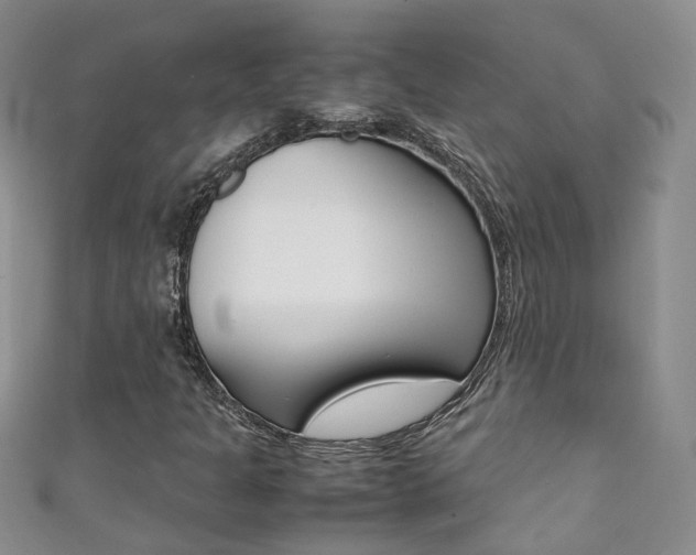 X0000111371301200907101009