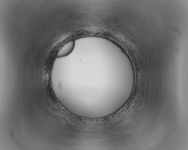 X0000111371302200907101009