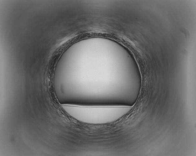 X0000111371303200907101009