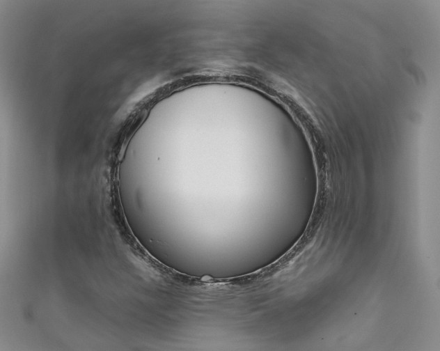 X0000111371304200907101009