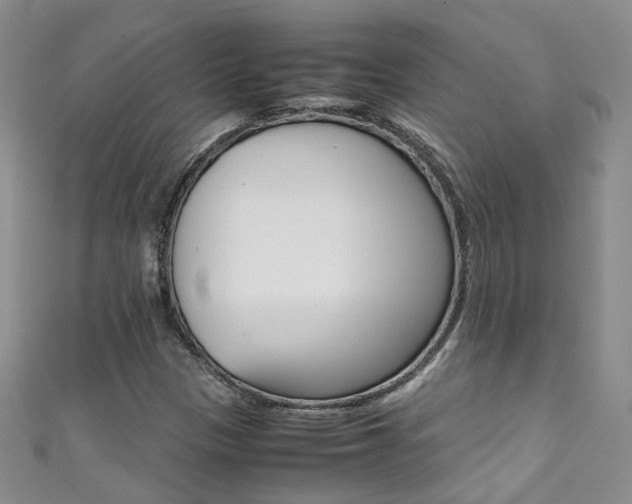 X0000111371305200907101009