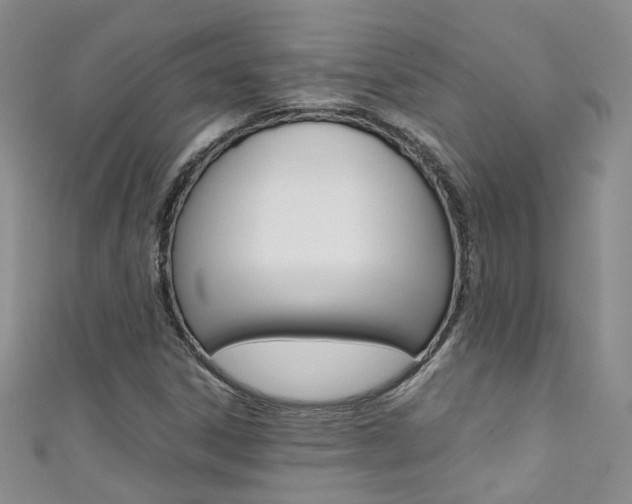 X0000111371306200907101009