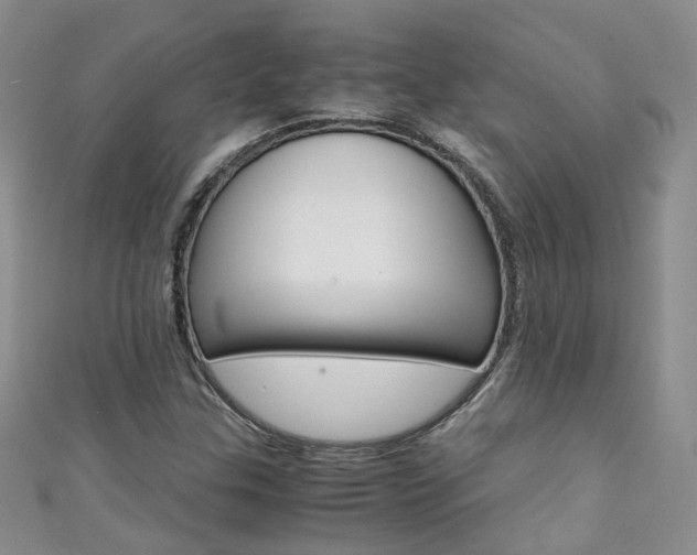 X0000111371307200907101009