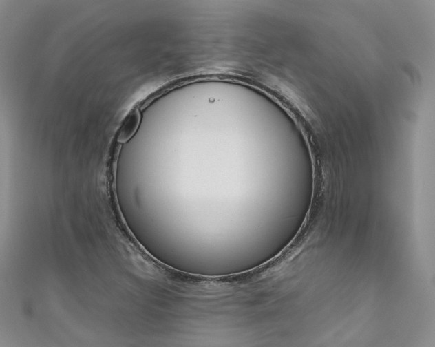 X0000111371308200907101009