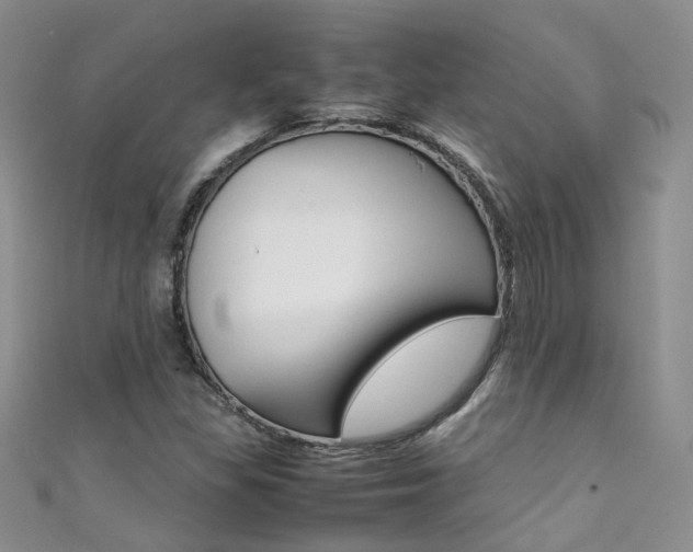 X0000111371309200907101009
