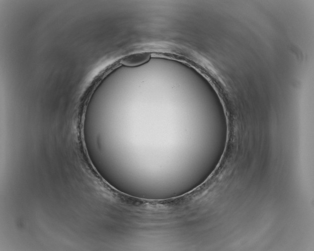 X0000111371312200907101009