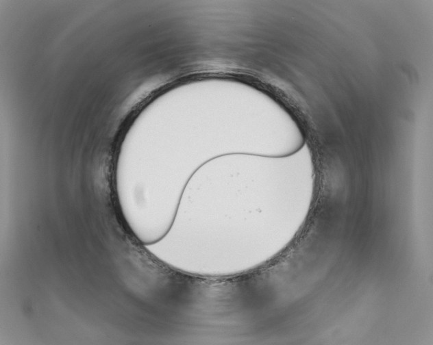 X0000111371314200907101009