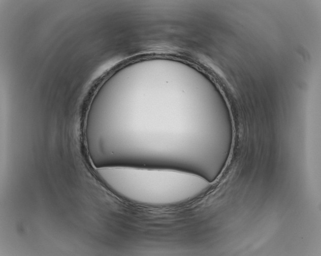 X0000111371315200907101009