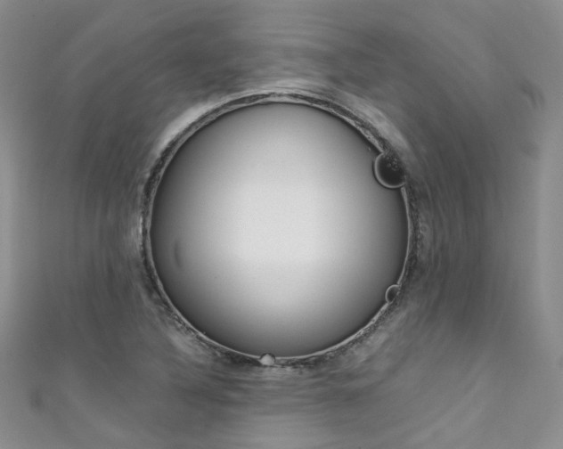 X0000111371316200907101009