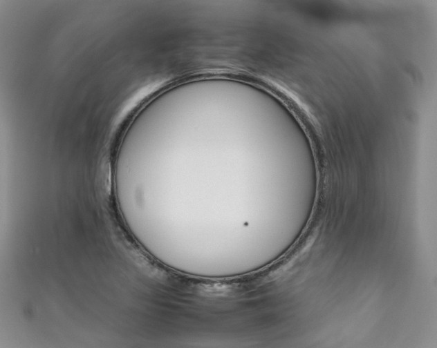 X0000111371317200907101009