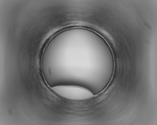 X0000111371318200907101009