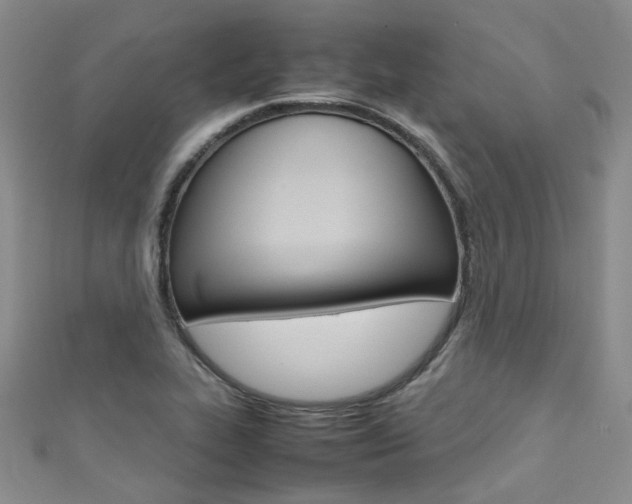 X0000111371319200907101009