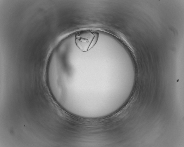 X0000111371320200907101009