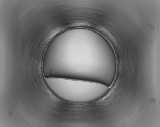 X0000111371321200907101009