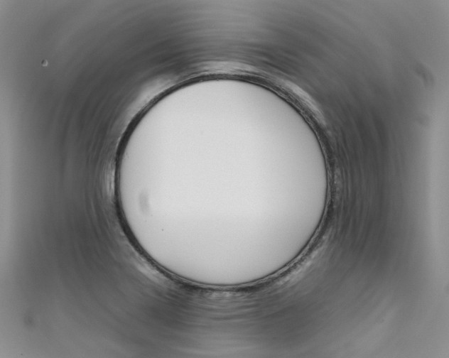 X0000111371322200907101009